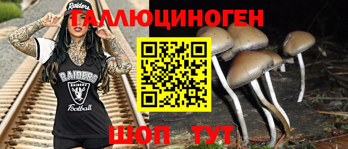 Псилоцибиновые грибы Psilocybine cubensis  Галлюциногенные грибы Psilocybe  Россошь  Вход с VPN 