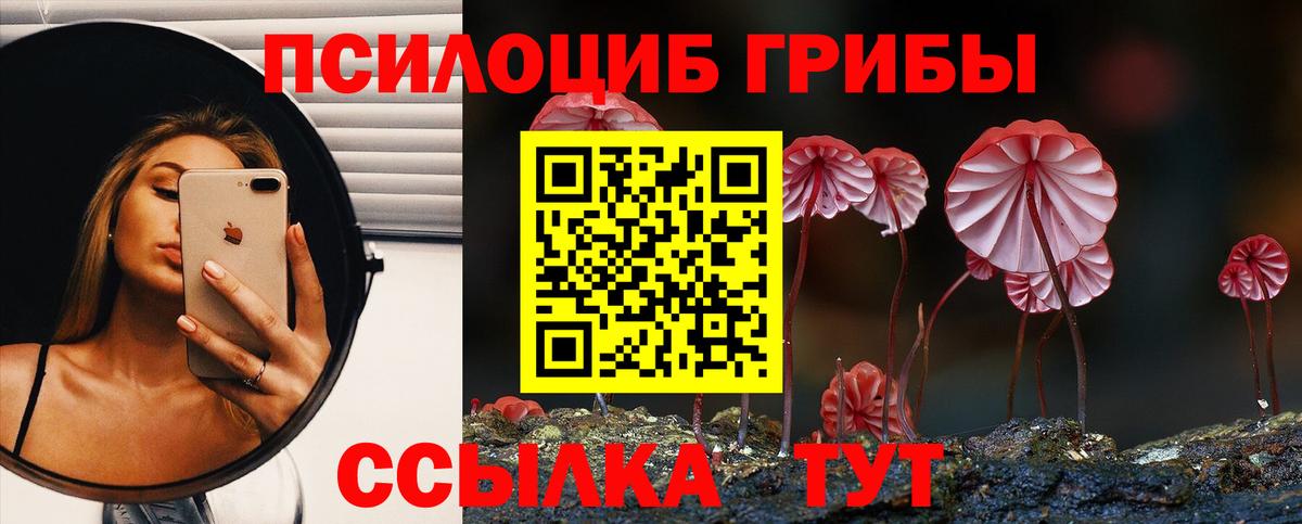 Галлюциногенные грибы мухоморы Россошь